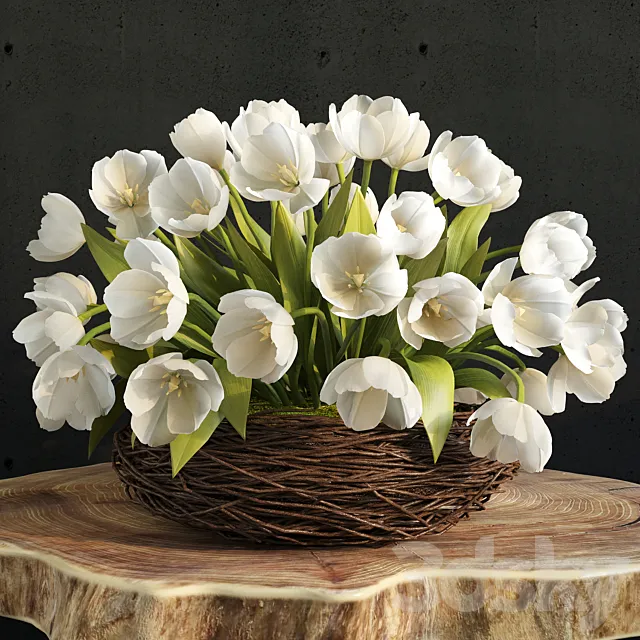 spring tulips in the nest 3D Model spring tulips in the nest 3D Model