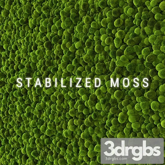 Stabilized Moss 2 3D Model Download