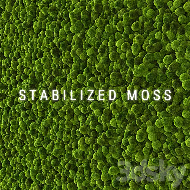 Stabilized Moss 2 3D Model Stabilized Moss 2 3D Model