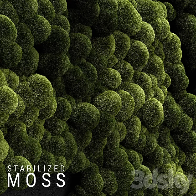 Stabilized Moss 3 3D Model Stabilized Moss 3 3D Model