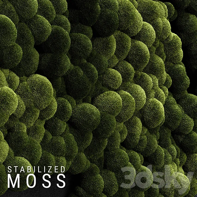 Stabilized Moss 3 3DModel Stabilized Moss 3 3DModel