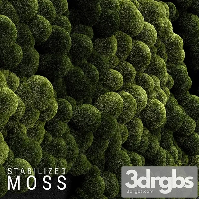 Stabilized moss 3 Stabilized moss 3