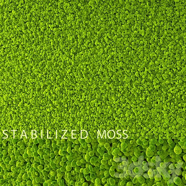 Stabilized Moss 3D Model Stabilized Moss 3D Model