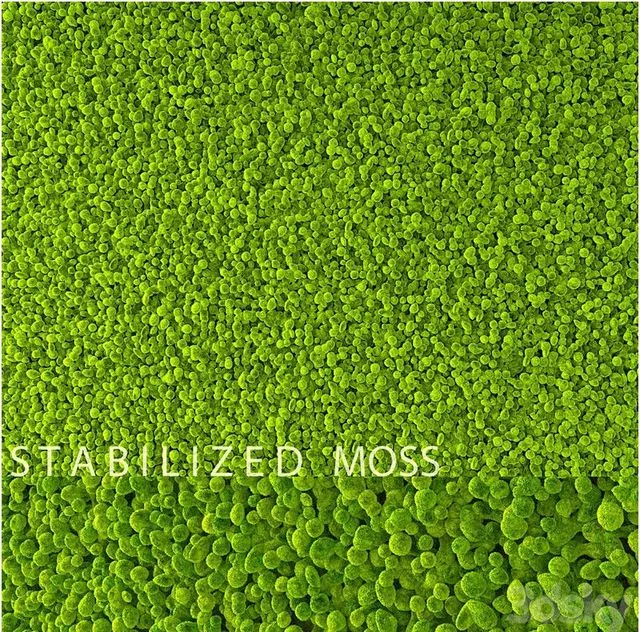 Stabilized Moss 3D Model Stabilized Moss 3D Model