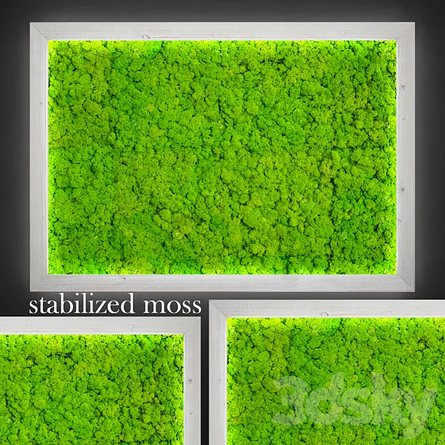 Stabilized moss. 3D Model Stabilized moss. 3D Model