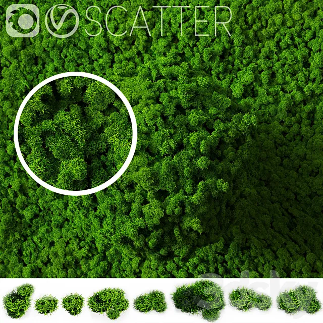 stabilized moss for scatter 3DModel stabilized moss for scatter 3DModel
