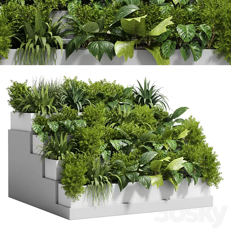 Stairs plant – Collection outdoor indoor plant 78 concrete vase pot fern bush grass 3D Model Free Download