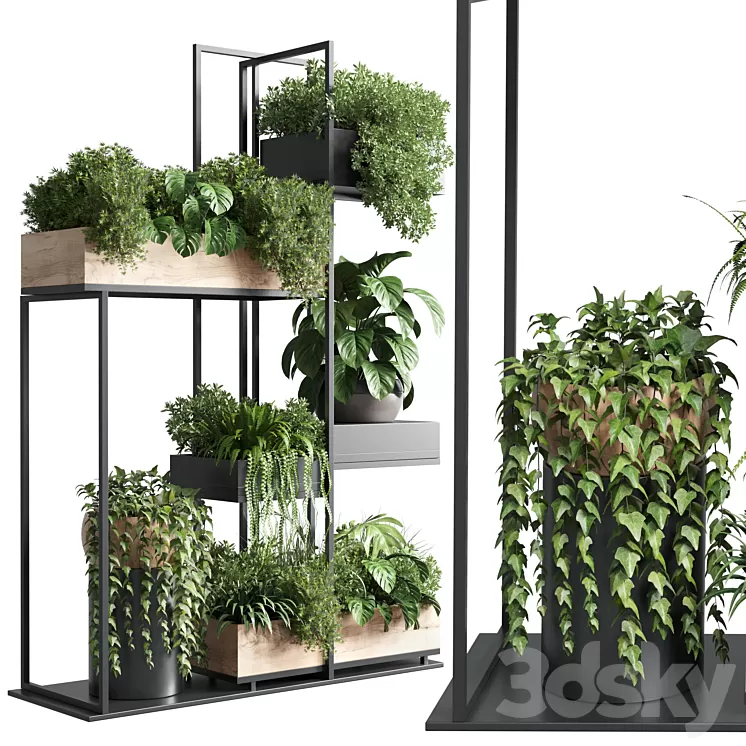 stand plant box – collection Indoor plant 217 wooden 3D Model