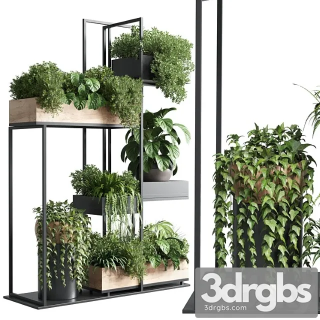 Stand plant box – collection indoor plant 217 wooden Stand plant box – collection indoor plant 217 wooden