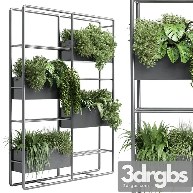 Stand plant box – collection indoor plant 254 metal vase pot fern grass Stand plant box – collection indoor plant 254 metal vase pot fern grass