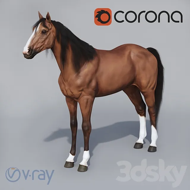 Standing horse 3D Model