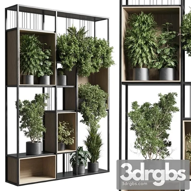 Standing metal shelf with a set 384 of plants in metal boxes corona Standing metal shelf with a set 384 of plants in metal boxes corona