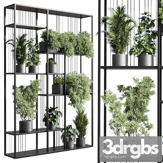 Standing Metal Shelf With A Set Of Plants In Concrete And Metal Boxes 325 3D Model Download Standing Metal Shelf With A Set Of Plants In Concrete And Metal Boxes 325 3D Model Download