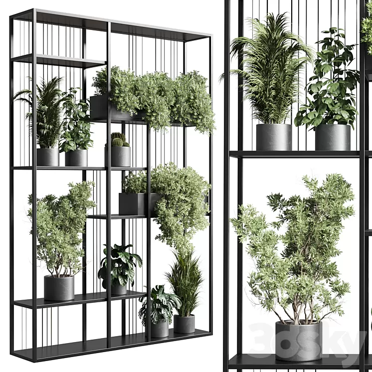 Standing metal shelf with a set of plants in concrete and metal boxes 325 3D Model Free Download
