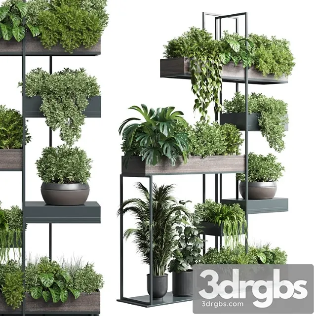 Standing metal shelf with a set of plants in wooden and metal boxes 267 Standing metal shelf with a set of plants in wooden and metal boxes 267