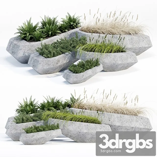 Steen 3D Model Download