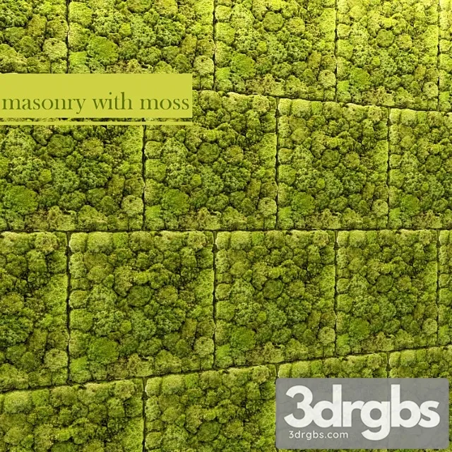 Stone and moss Stone and moss