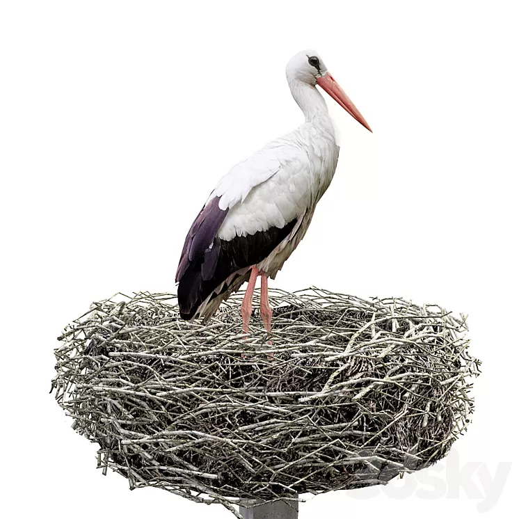 Stork 3D Model Free Download