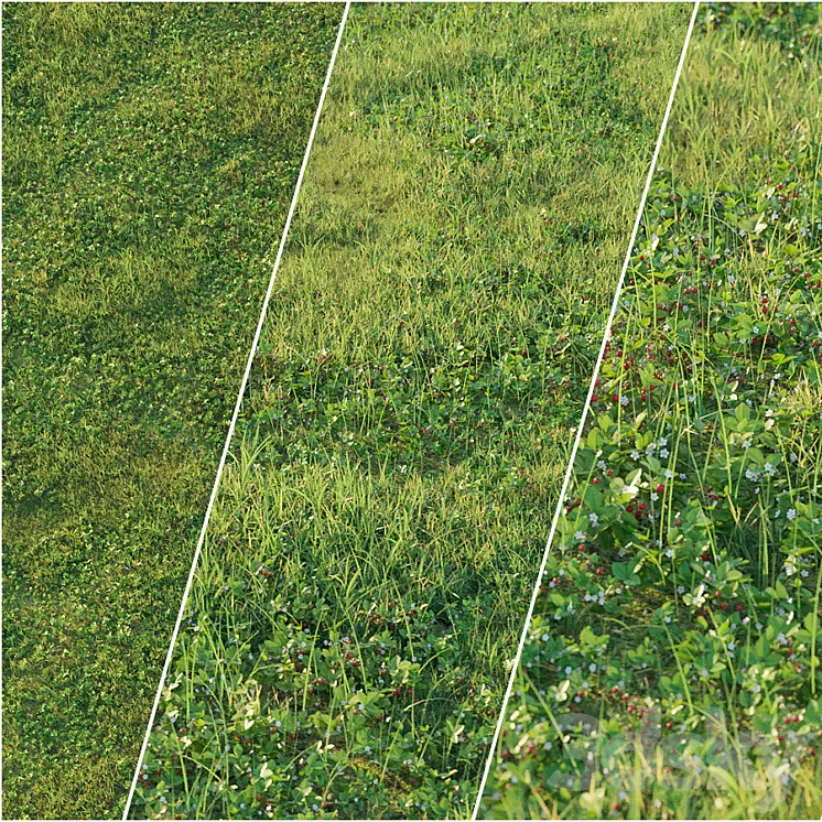 Strawberry clearing 3D Model Strawberry clearing 3D Model