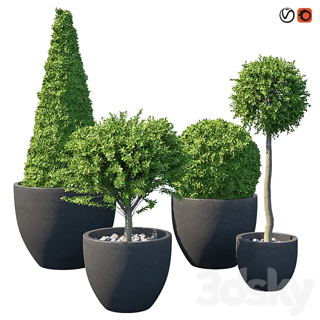 Street bushes in pots IV 3D Model Street bushes in pots IV 3D Model