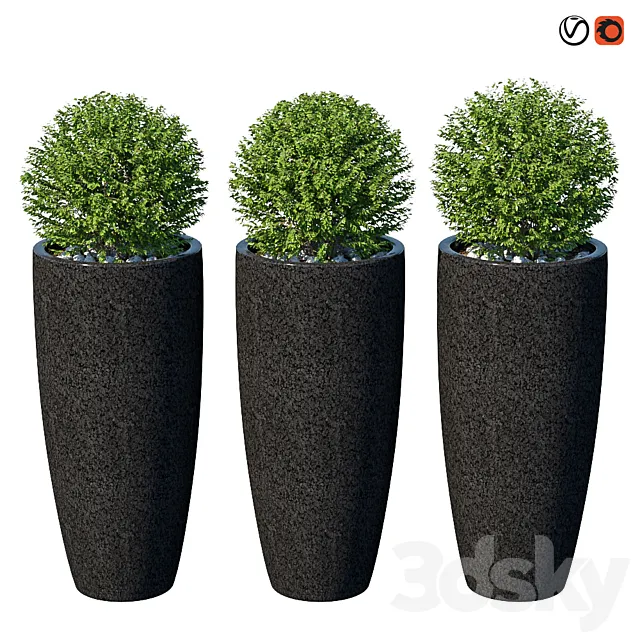 Street bushes in pots VIII 3D Model Street bushes in pots VIII 3D Model