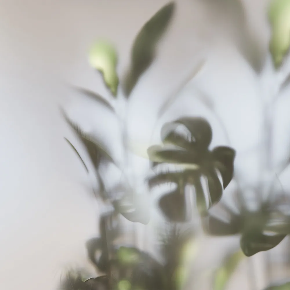 Studijo Wallart – Wallpaper Greenhouse 3D Model