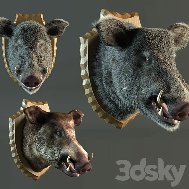 stuffed wild boar 3D Model stuffed wild boar 3D Model