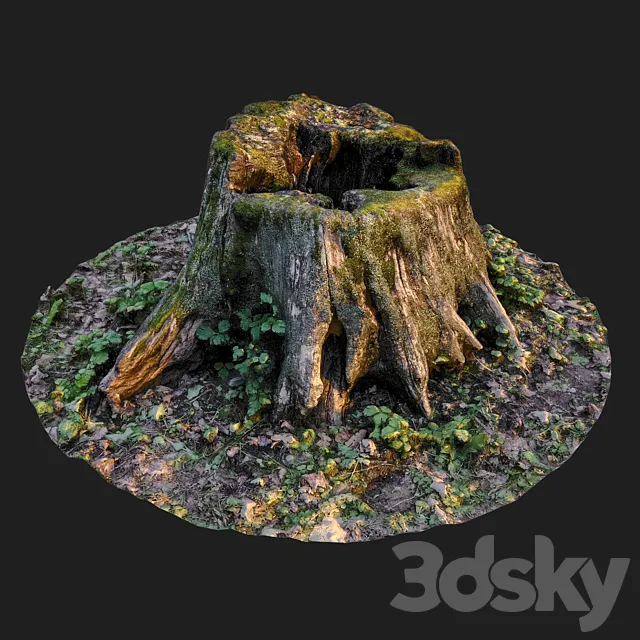 Stump 3D Model Stump 3D Model