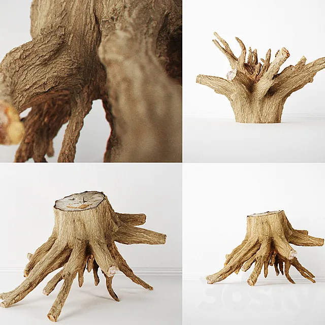 Stump 3DModel