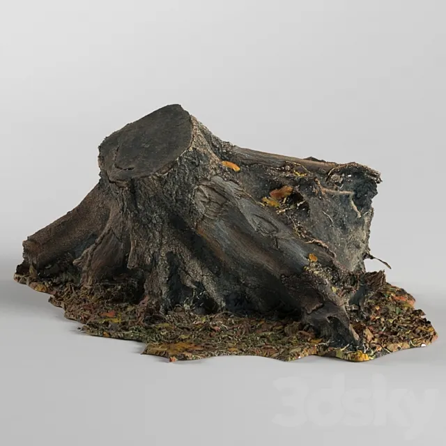 Stump 3DModel