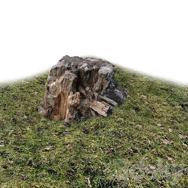 Stump. wood exterior 3DModel