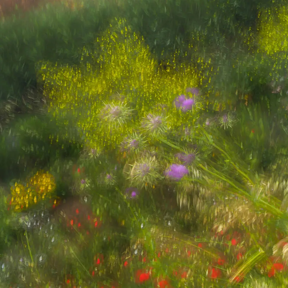 Styl’editions – Wallpaper Armonie di Forme Incerte 3D Model