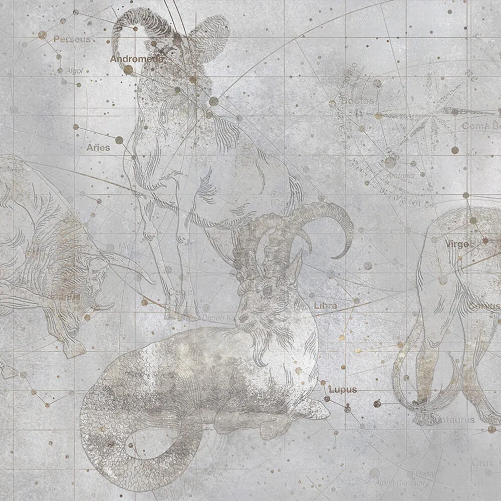 Styl’editions – Wallpaper ASTRA 3D Model