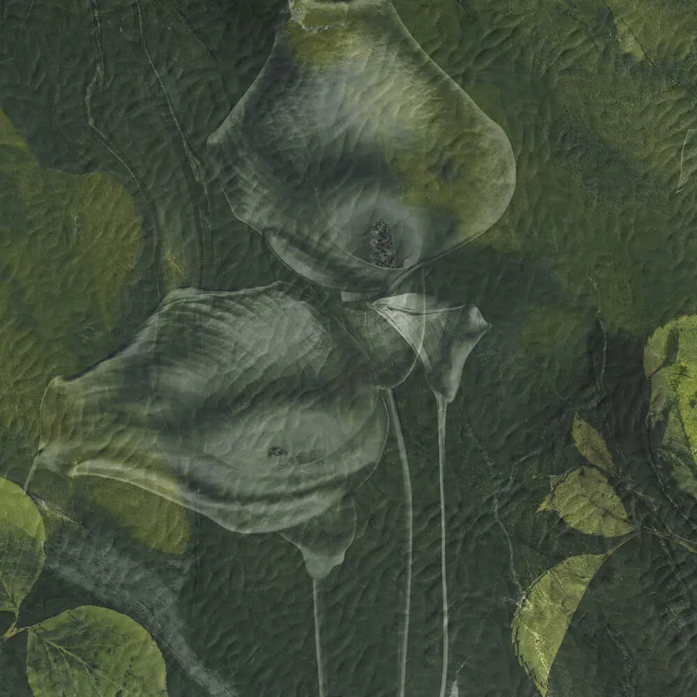 Styl’editions – Wallpaper Avocado 3D Model