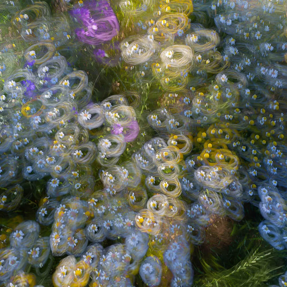 Styl’editions – Wallpaper Stelle di Terra 3D Model