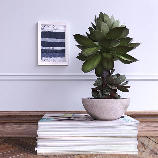 Succulent 3D Model Succulent 3D Model