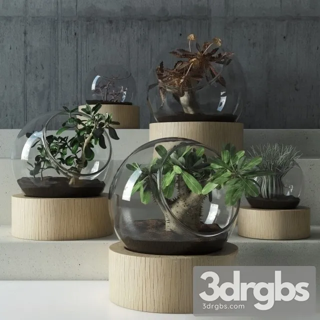 Succulent Bouquet 3D Model Download Succulent Bouquet 3D Model Download