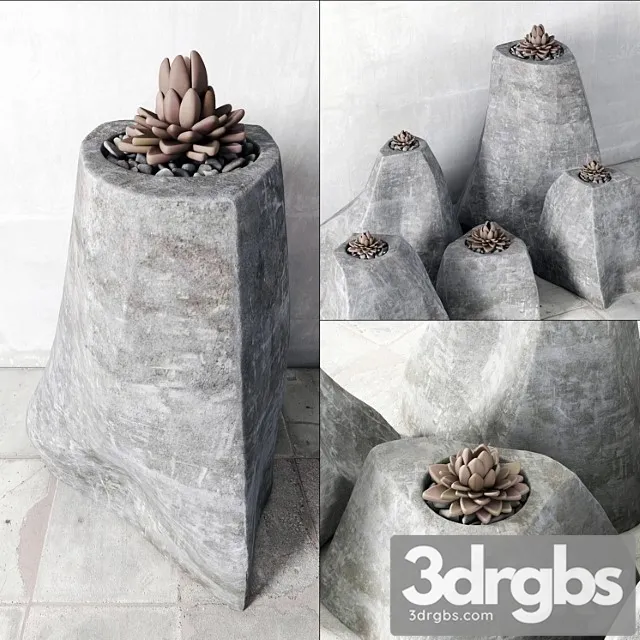 Succulent rock vase 3D Model Download