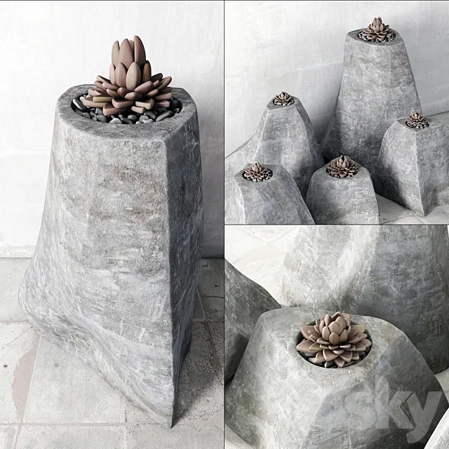 Succulent rock vase 3D Model