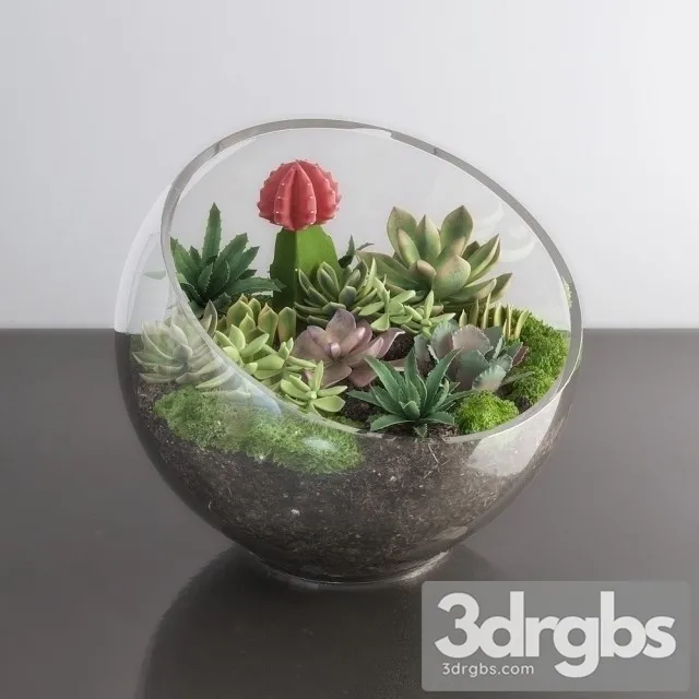 Succulents Bouquet 3D Model Download Succulents Bouquet 3D Model Download