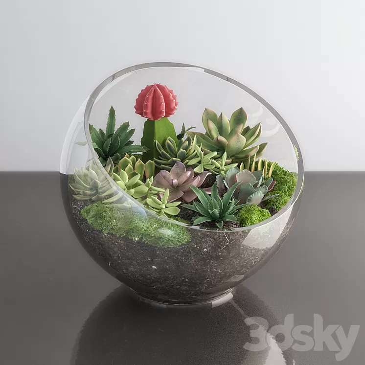 Succulents in glass bowl 3D Model Succulents in glass bowl 3D Model