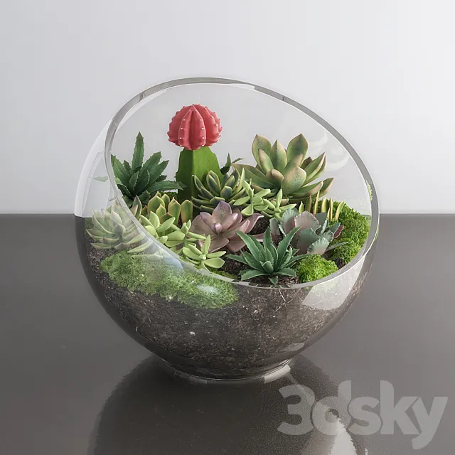 Succulents in glass bowl 3DModel Succulents in glass bowl 3DModel
