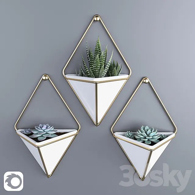 Succulents in hanging pots Umbra trigg 3DModel Succulents in hanging pots Umbra trigg 3DModel
