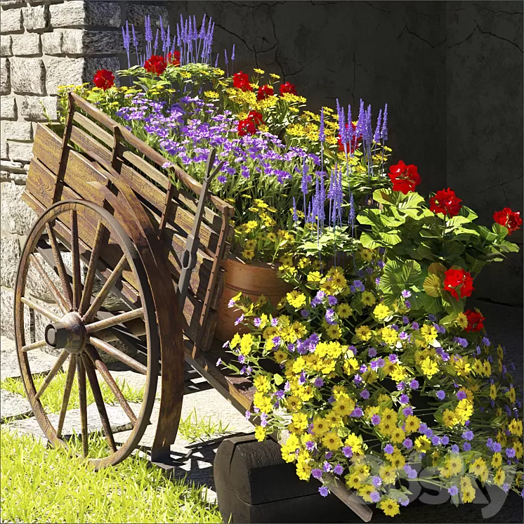 summer flower 3D Model summer flower 3D Model