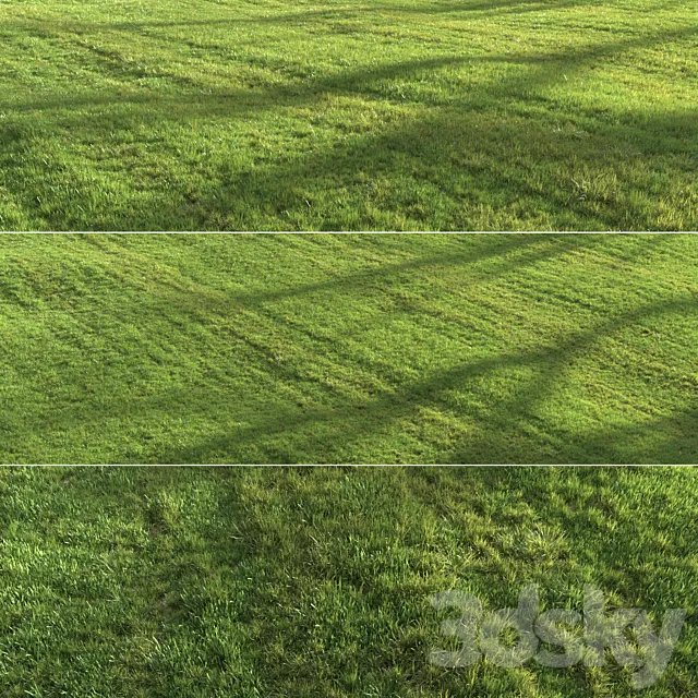 Summer grass 3D Model Summer grass 3D Model