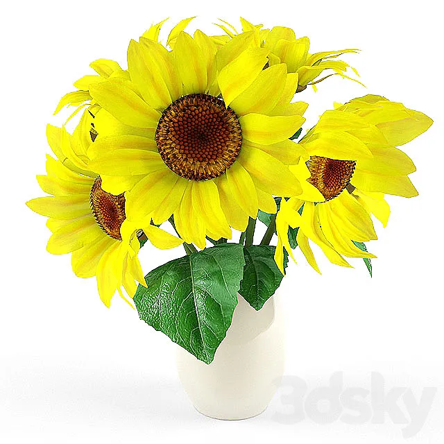 sunflower 3D Model sunflower 3D Model