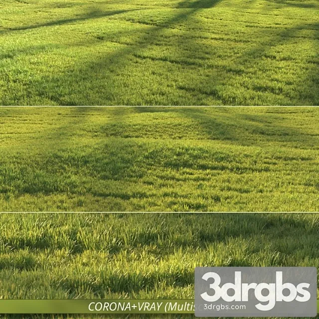 Sunny lawn Sunny lawn