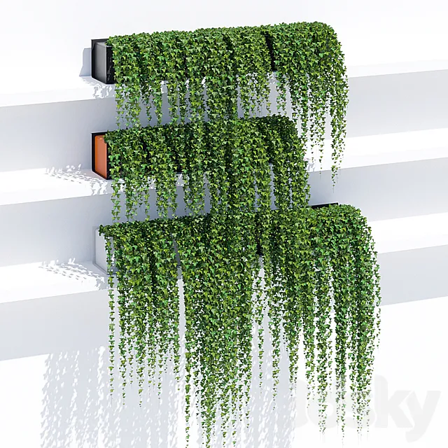 Sunset ivy 3DModel Sunset ivy 3DModel