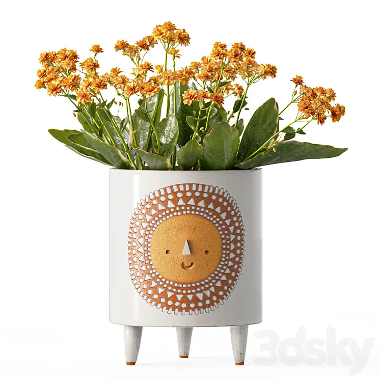 Sunshine ceramic tripod planter by Atelier Stella with Kalanchoe 3D Model Free Download