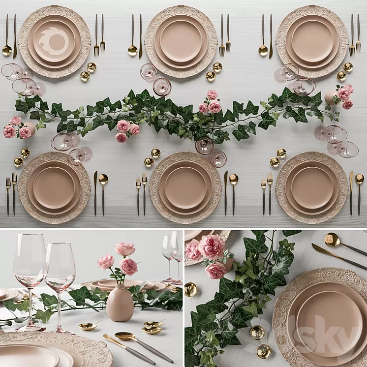 surgeon wedding set 3D Model